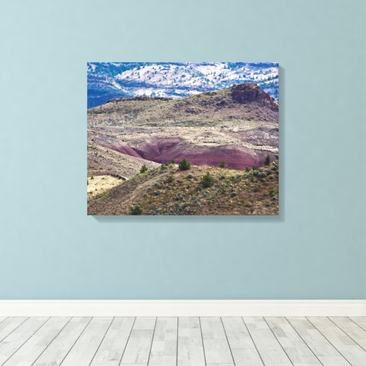 John Day Fossil Beds National Monument (Oregon) Canvas Afdruk (Insitu (Houten vloer))