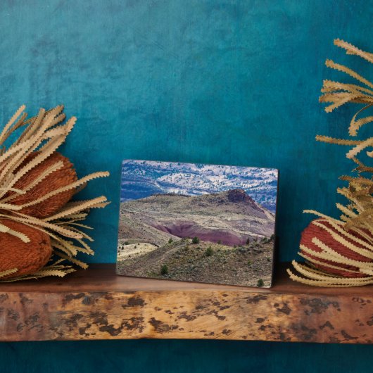 John Day Fossil Beds National Monument (Oregon) Fotoplaat (Zijkant)