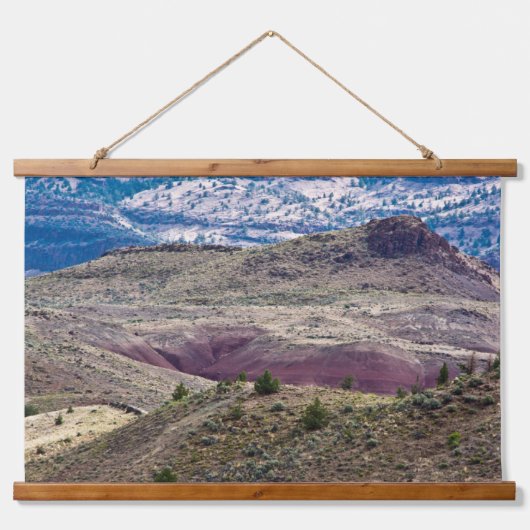 John Day Fossil Beds National Monument (Oregon) Hangend Wandkleed (Voorkant)