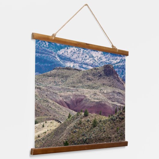 John Day Fossil Beds National Monument (Oregon) Hangend Wandkleed (Gebogen)