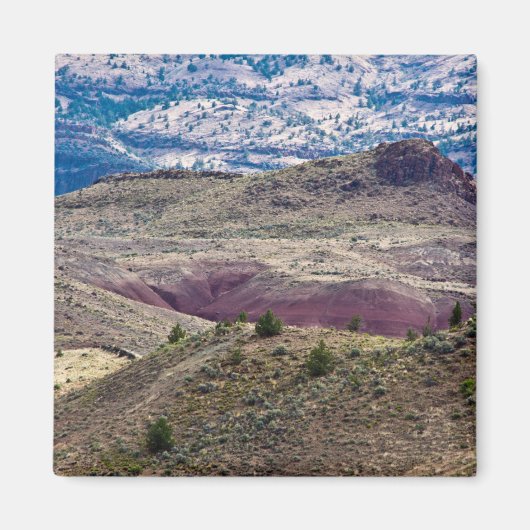John Day Fossil Beds National Monument (Oregon) Magneet (Voorkant)