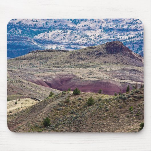 John Day Fossil Beds National Monument (Oregon) Muismat (Voorkant)