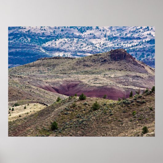 John Day Fossil Beds National Monument (Oregon) Poster (Voorkant)