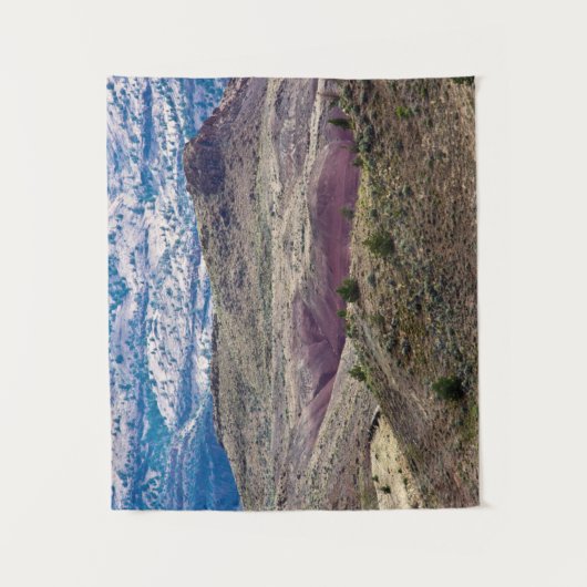 John Day Fossil Beds National Monument, Oregon Wandkleed (Voorkant)