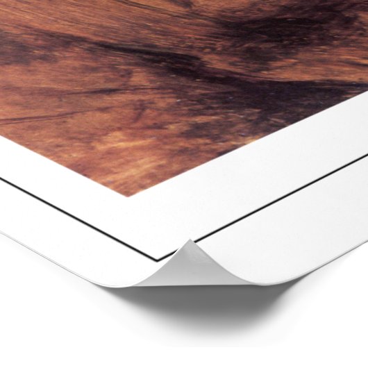 John Everett Millais Zedign Art Poster #121 (Hoek)