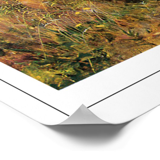 John Everett Millais Zedign Art Poster #176 (Hoek)