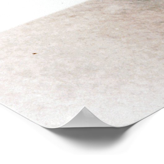 John F Kennedy en Jackie in de Motorcade Dallas Poster (Hoek)