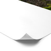 John Force Top Fuel Funny Car Poster (Hoek)