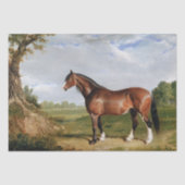John Frederick Herring | Een Clydesdale-hengst Tissuepapier (Voorkant)