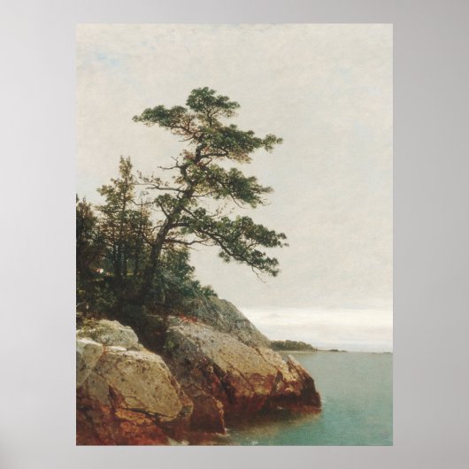 John Frederick Kensett Old Pine Landscape Print (Voorkant)