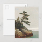 John Frederick Kensett Old Pine Landscape Print Briefkaart (Voorkant / Achterkant)