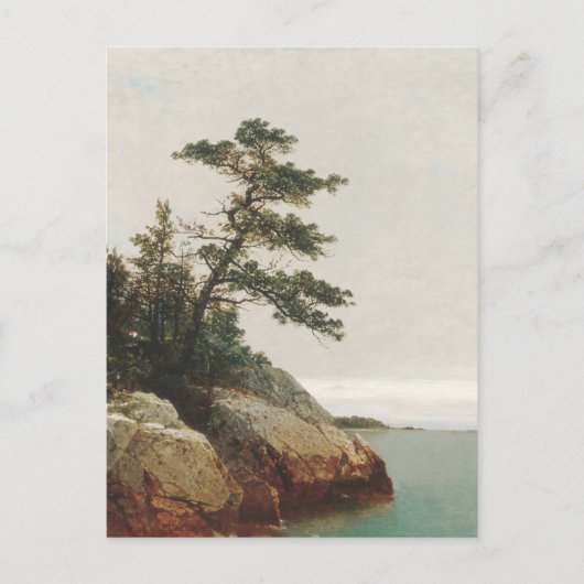 John Frederick Kensett Old Pine Landscape Print Briefkaart (Voorkant)
