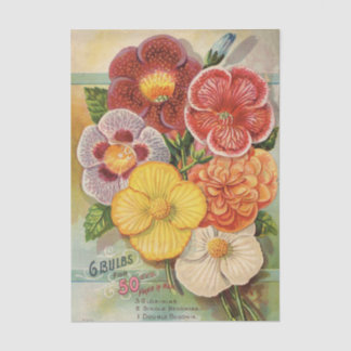 John Gardiner Antieke Bloemencatalogus, 1896 Tissuepapier