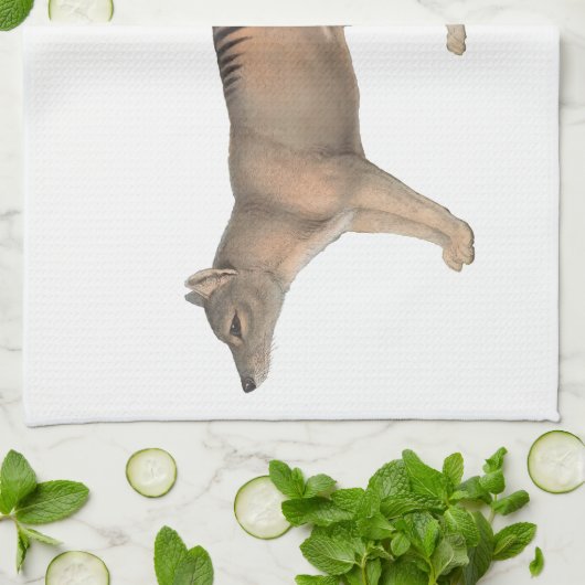 John Gould Tasmanian Tiger Thyalcine Theedoek (Gevouwen)