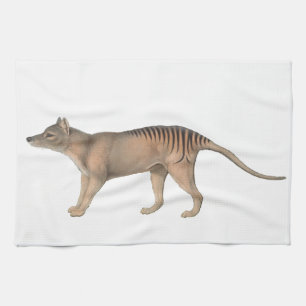 John Gould Tasmanian Tiger Thyalcine Theedoek