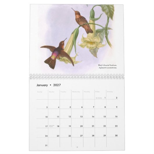 John Gould's Hummingbird 2015 Kalender (Jan 2027)