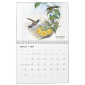 John Gould's Hummingbird 2015 Kalender (Feb 2027)