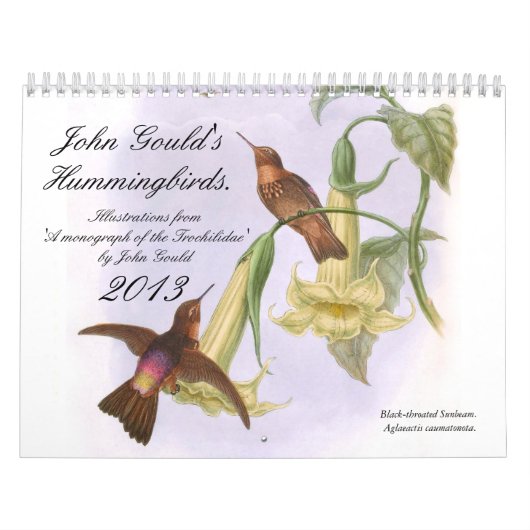 John Gould's Hummingbird Kalender (Hoes)