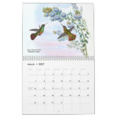 John Gould's Hummingbird Kalender (Mar 2027)