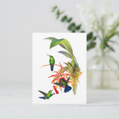 John Gould's Kolibries met Roze Orchideeën Briefkaart (Staand voorkant)