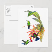 John Gould's Kolibries met Roze Orchideeën Briefkaart (Voorkant / Achterkant)