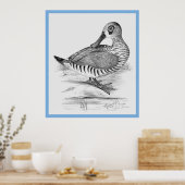 John Gould's 'Vogels van Australië' ~ De Eend Poster (Keuken)