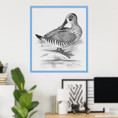 John Gould's 'Vogels van Australië' ~ De Eend Poster (Thuiskantoor)