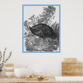 John Goulds 'Vogels van Australië' ~ The Cassowary Poster (Keuken)
