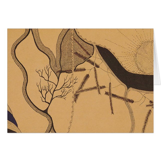 John Haughton Card 5 (Voorkant Horizontaal)