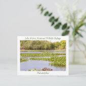 John Heinz National Wildlife Refuge Briefkaart (Staand voorkant)