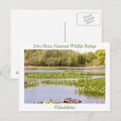 John Heinz National Wildlife Refuge Briefkaart (Voorkant / Achterkant)