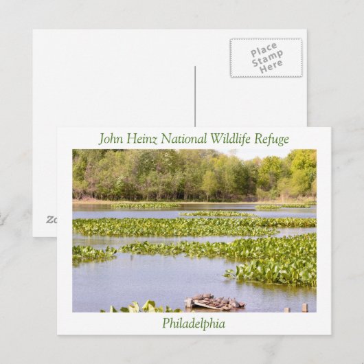 John Heinz National Wildlife Refuge Briefkaart (Voorkant / Achterkant)