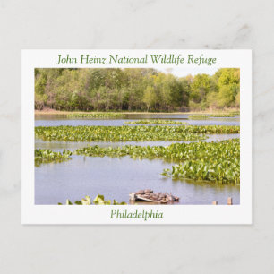 John Heinz National Wildlife Refuge Briefkaart