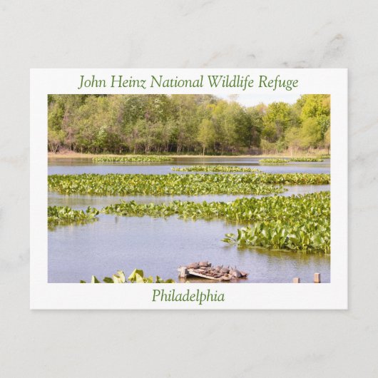 John Heinz National Wildlife Refuge Briefkaart (Voorkant)