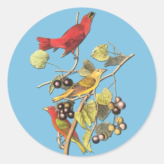 John J Audubon Summer Tanager Bird Art Stickers (Voorkant)