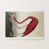 John James Audubon - American Flamingo Legpuzzel (Horizontaal)
