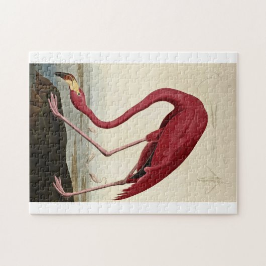 John James Audubon - American Flamingo Legpuzzel (Horizontaal)