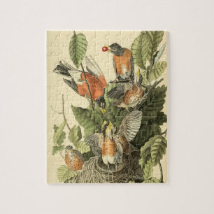 John James Audubon American Robin Painting Gift Legpuzzel