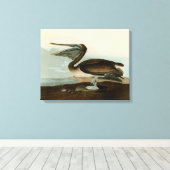 John James Audubon Brown Pelican Artwork schildere Canvas Afdruk (Insitu (Houten vloer))