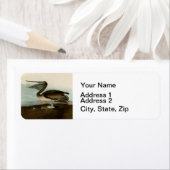 John James Audubon Brown Pelican Artwork schildere Etiket (Insitu)