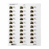 John James Audubon Brown Pelican Artwork schildere Etiket (Full Sheet)