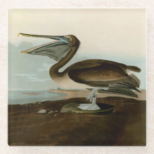 John James Audubon Brown Pelican Artwork schildere Glazen Onderzetter