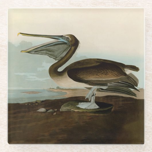 John James Audubon Brown Pelican Artwork schildere Glazen Onderzetter (Voorkant)