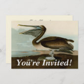 John James Audubon Brown Pelican Artwork schildere Kaart (Voorkant / Achterkant)