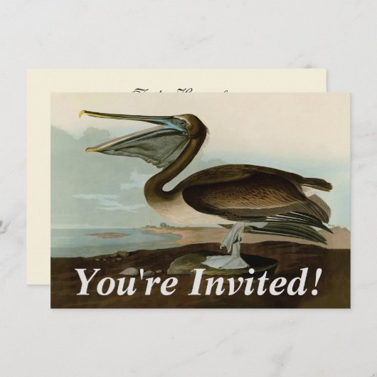 John James Audubon Brown Pelican Artwork schildere Kaart (Voorkant / Achterkant)