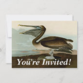 John James Audubon Brown Pelican Artwork schildere Kaart (Voorkant)