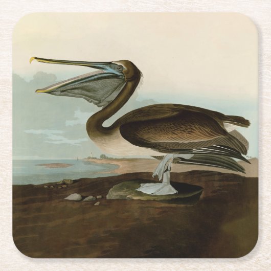 John James Audubon Brown Pelican Artwork schildere Kartonnen Onderzetters (Voorkant)