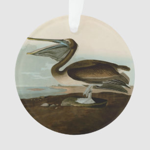 John James Audubon Brown Pelican Artwork schildere Ornament
