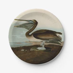 John James Audubon Brown Pelican Artwork schildere Papieren Bordje
