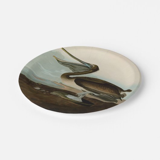 John James Audubon Brown Pelican Artwork schildere Papieren Bordje (Gekanteld)